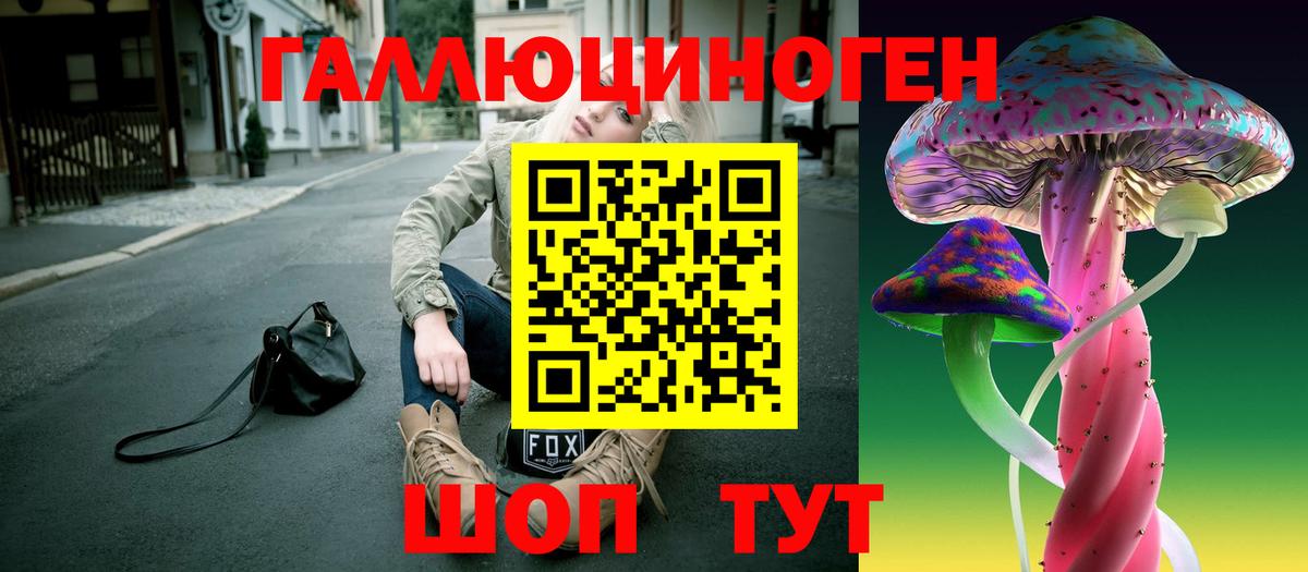 Псилоцибиновые грибы Cubensis Дедовск